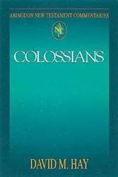 Book cover of Abingdon New Testament Commentaries: Colossians by David M. Hay