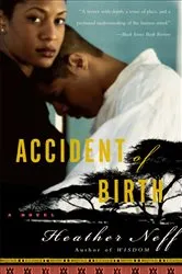 Book cover of Accident of Birth by Heather Neff