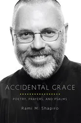 Book cover of Accidental Grace by Rami Shapiro