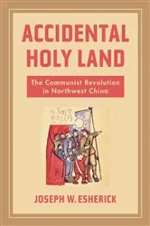 Book cover of Accidental Holy Land by Unknown