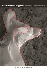 Book cover of Accidental Origami by karla k. morton