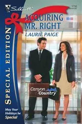 Book cover of Acquiring Mr. Right by Laurie Paige