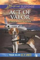 Book cover of Act of Valor by Dana Mentink