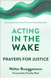 Book cover of Acting in the Wake by Walter Brueggemann