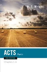 Book cover of Acts for Everyone, Part One by N. T. Wright