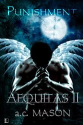 Book cover of Aequitas II Punishment by a.c. Mason
