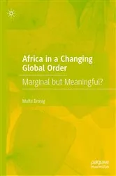 Book cover of Africa in a Changing Global Order by Malte Brosig