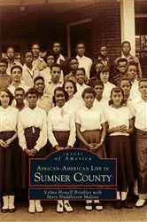 Book cover of African-American Life in Sumner County by Velma Howell Brinkley