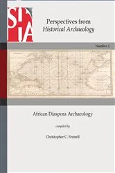 Book cover of African Diaspora Archaeology by Unknown