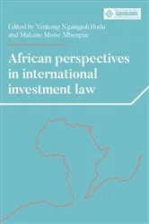 Book cover of African perspectives in international investment law by Yenkong Ngangjoh Hodu