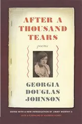 Book cover of After a Thousand Tears by Jimmy Worthy II