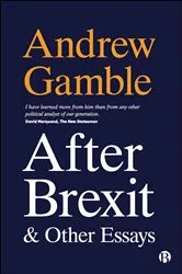 Book cover of After Brexit and Other Essays by Andrew Gamble