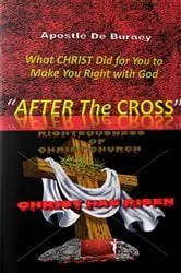 Book cover of 