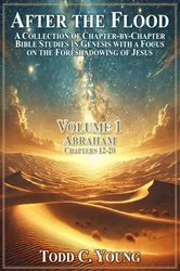 Book cover of After the Flood by Todd C. Young