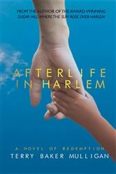 Book cover of Afterlife in Harlem by Terry Baker Mulligan