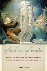 Book cover of Afterlives of Endor by Laura Levine