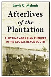 Book cover of Afterlives of the Plantation by Jarvis C. McInnis