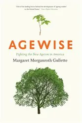 Book cover of Agewise by Margaret Morganroth Gullette