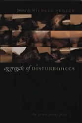 Book cover of Aggregate of Disturbances by Michele Glazer