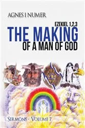 Book cover of Agnes I. Numer - The Making of a Man of God by Numer, Agnes, I.