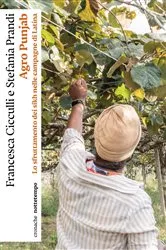 Book cover of Agro Punjab by Unknown