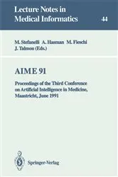 Book cover of AIME 91 by Mario Stefanelli