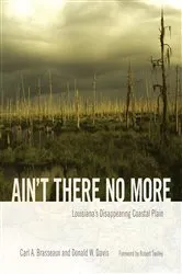 Book cover of Ain't There No More by Carl A. Brasseaux