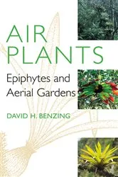Book cover of Air Plants by David H. Benzing