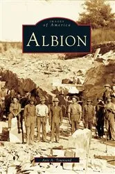 Book cover of Albion by Avis A. Townsend