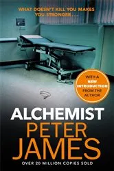 Book cover of Alchemist by Sandra Comstock