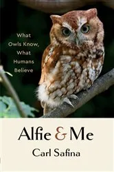 Book cover of Alfie and Me: What Owls Know, What Humans Believe by Carl Safina