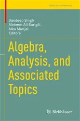 Book cover of Algebra, Analysis, and Associated Topics by Sandeep Singh