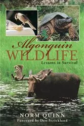 Book cover of Algonquin Wildlife by Norm Quinn