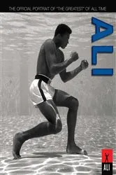 Book cover of Ali by Nancy J. Hajeski