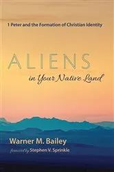 Book cover of Aliens in Your Native Land by Warner M. Bailey