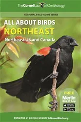 Book cover of All About Birds Northeast by Cornell Lab of Ornithology