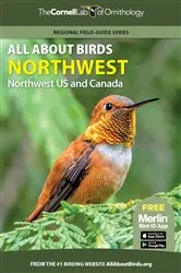 Book cover of All About Birds Northwest by Cornell Lab of Ornithology