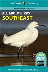 Book cover of All About Birds Southeast by Cornell Lab of Ornithology