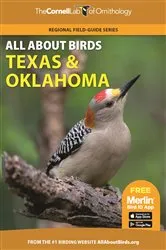 Book cover of All About Birds Texas and Oklahoma by Cornell Lab of Ornithology