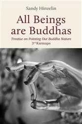 Book cover of All Beings are Buddhas by Sandy Hinzelin