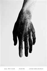 Book cover of All We Saw by Anne Michaels