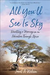 Book cover of All You'll See Is Sky by Janet A. Wilson
