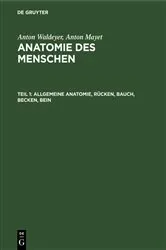 Book cover of Allgemeine Anatomie, Rücken, Bauch, Becken, Bein (13th ed.) by Anton Waldeyer