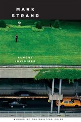 Book cover of Almost Invisible by Mark Strand