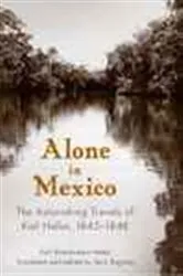 Book cover of Alone in Mexico by Terry Rugeley