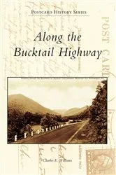 Book cover of Along the Bucktail Highway by Charles E. Williams
