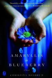 Book cover of Amaryllis in Blueberry by Christina Meldrum