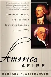 Book cover of America Afire by Bernard A. Weisberger