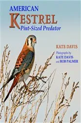 Book cover of American Kestrel by Kate Davis