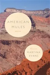 Book cover of American Mules by Unknown